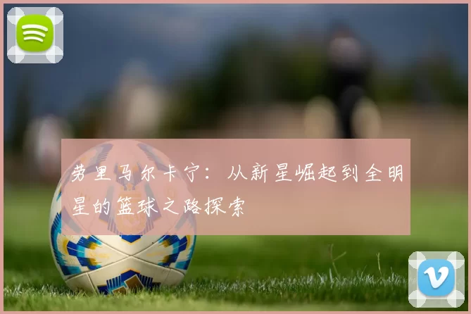 劳里马尔卡宁：从新星崛起到全明星的篮球之路探索